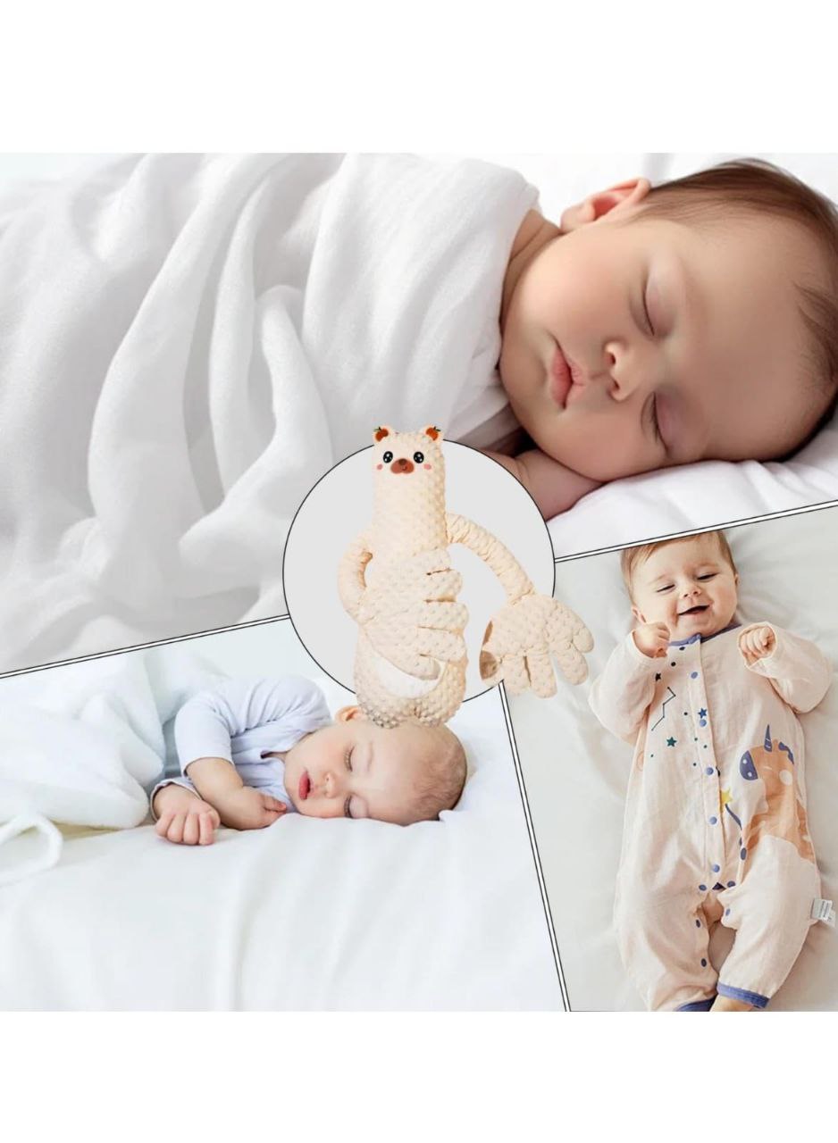 وسادة الدب Palestine -Global Market